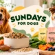 Sundays for Dogs Kitchen Feast 80x80